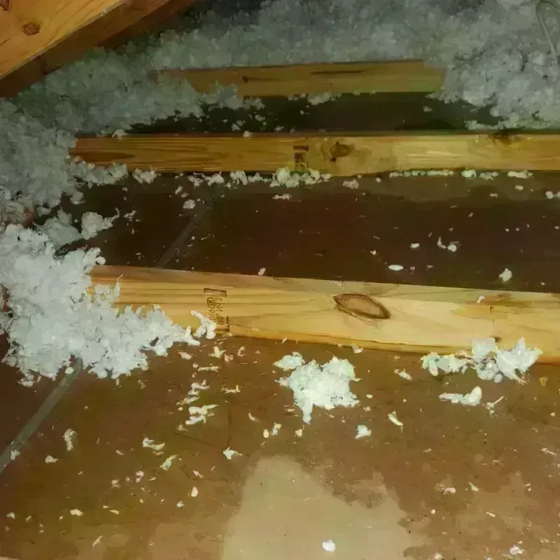 Attic Water Damage in Hilliard, OH