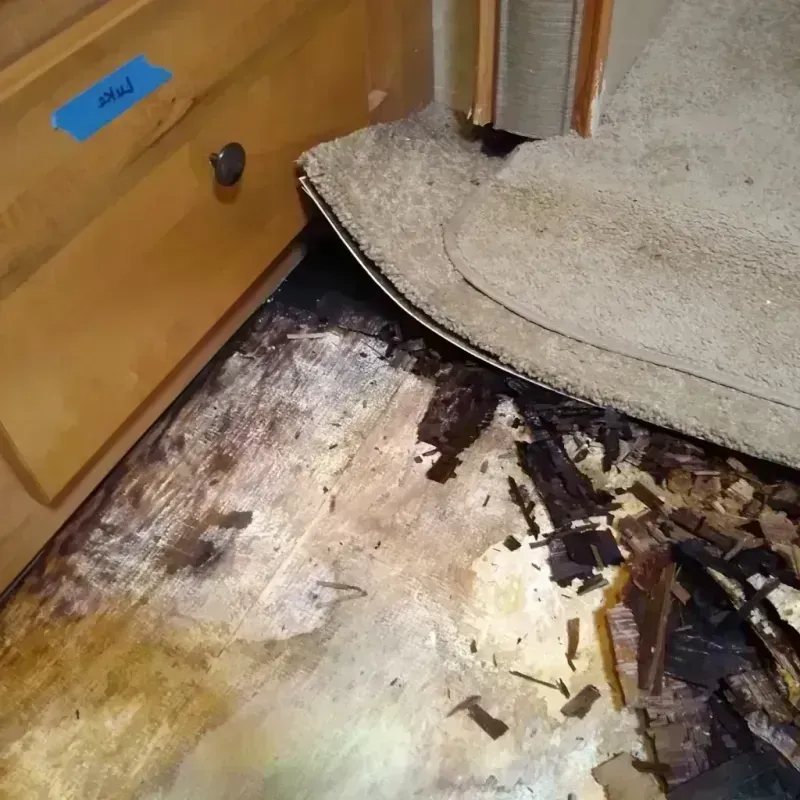 Best Wood Floor Water Damage Service in Hilliard, OH